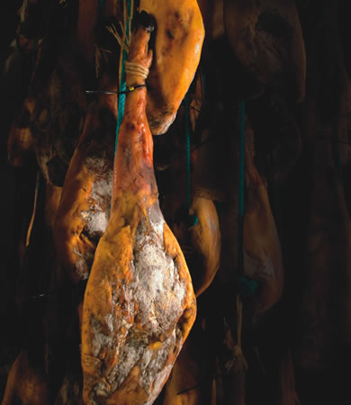 Ganado Ibérico